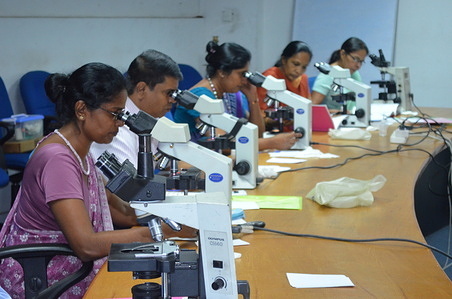 Sri Lanka, Colombo; Eager to reach the highest standard, the Public Health Laboratory Technologists (microscopists) of the Anti Malaria Campaign undergo a rigorous training on quality assurance